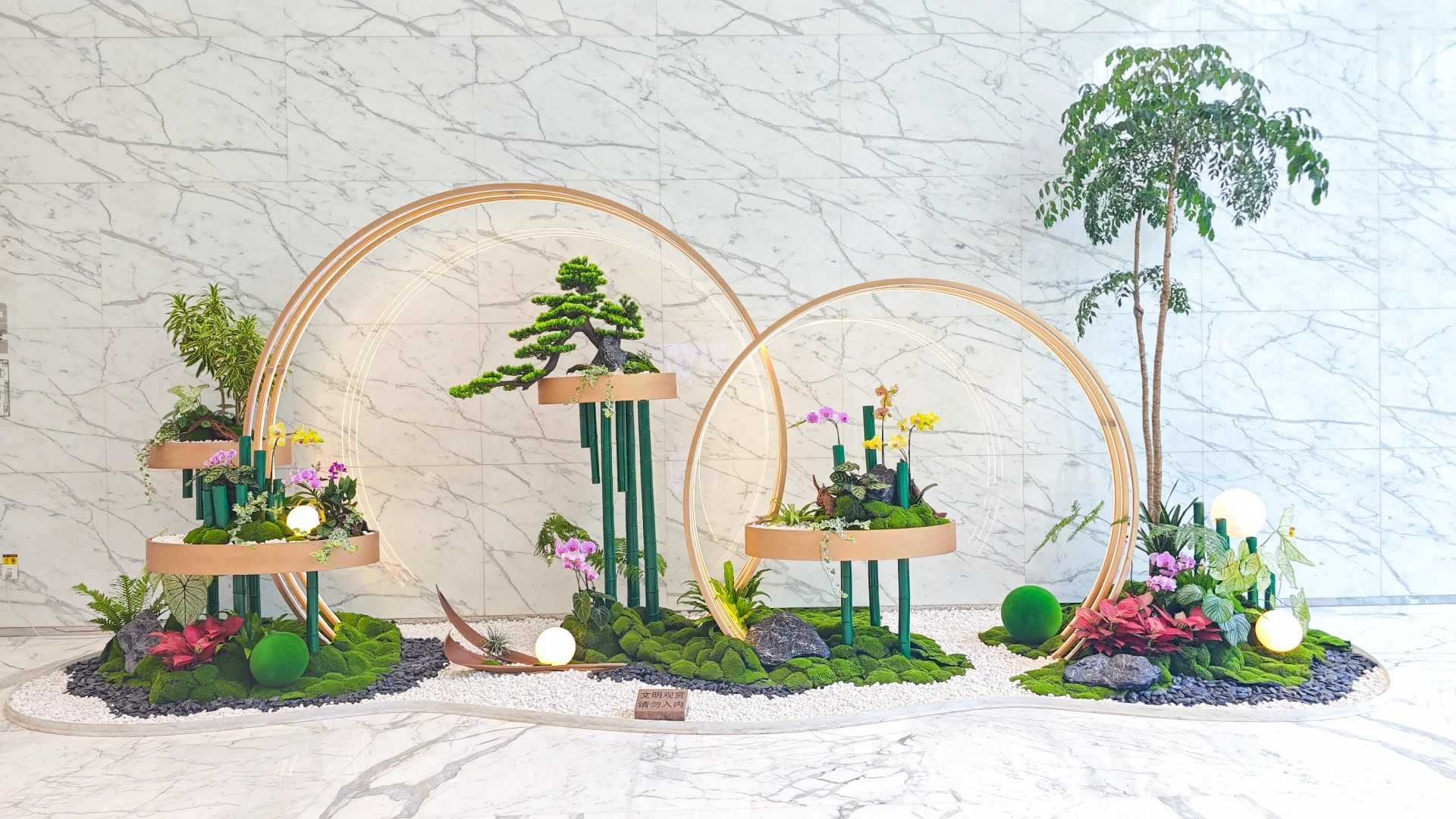 了解宁波江北盆景出租价格，开启绿色租赁！