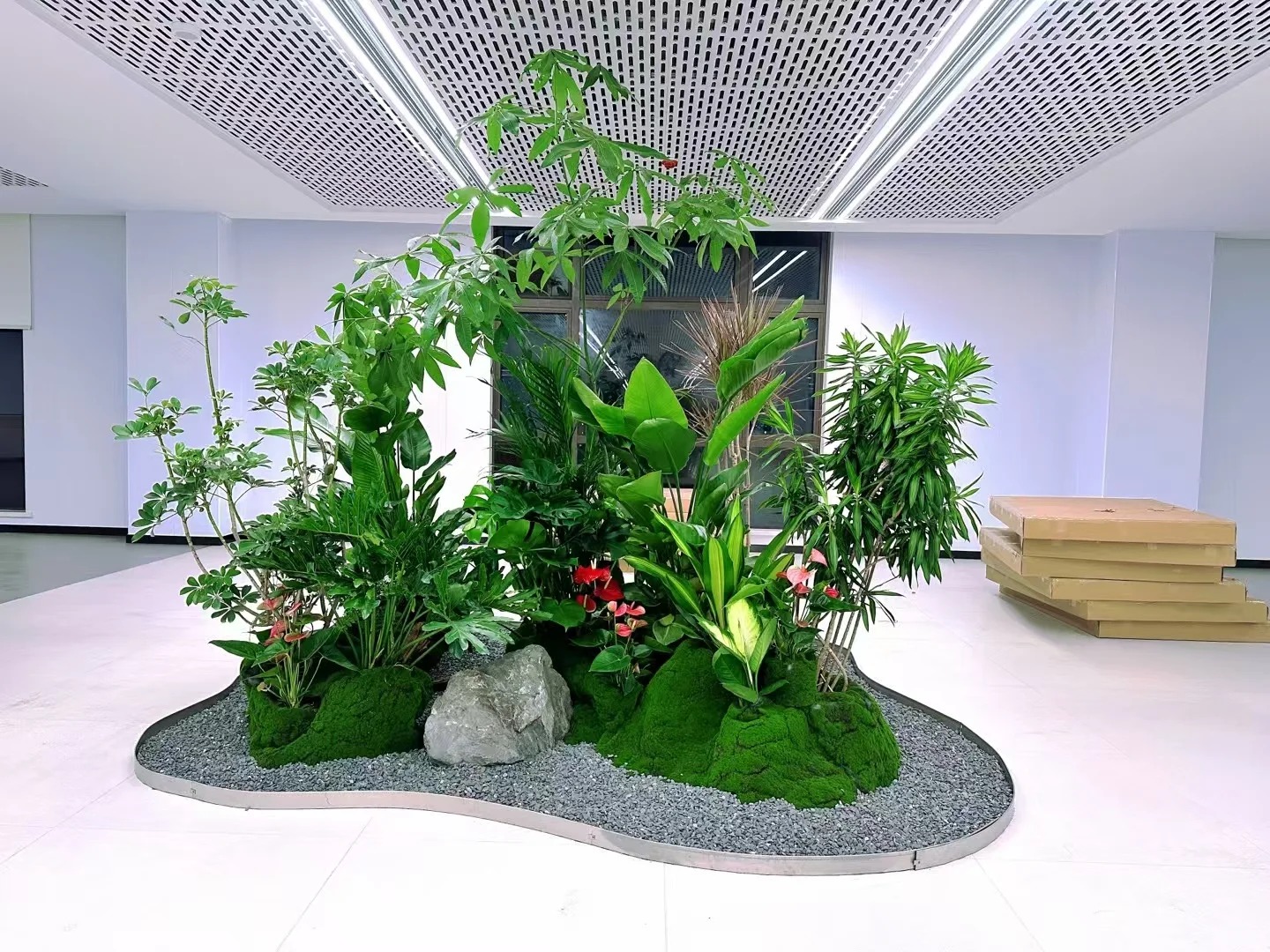 了解宁波江北盆景出租价格，开启绿色租赁！